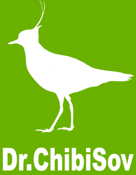 Логотип клиники