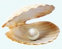 Логотип клиники