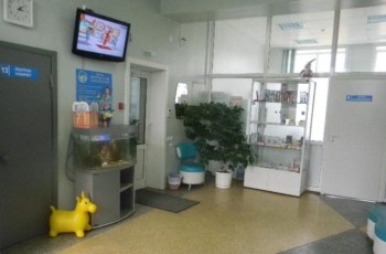 Семейная стоатология МАНО