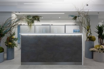 Детская стоматология ДЕНТАЛ ФЭНТЕЗИ м. Киевская