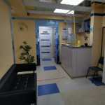 Стоматологическая клиника ДЕНТАЛИЯ