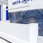 Сеть стоматологических клиник МЕГА-ДЕНТ на Фармана Салмановна