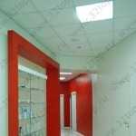 Детская ортодонтия ЭСТЕ м.Чернышевская