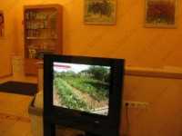 Стоматология ПРИМАВЕРА м. Кировский Завод