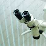 Стоматология KLARIS (КЛАРИС) м. Комендантский проспект