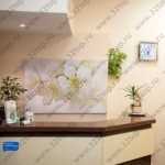 Стоматология ДОКТОР ДЕМИДОВ м. Авиамоторная