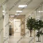 Стоматология АКАДЕМИЯ СТОМАТОЛОГИИ