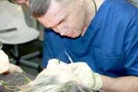 Стоматология ARTE-S м. Василеостровская