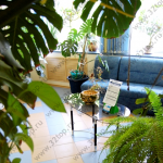 Стоматология ПРО ДЕНТА ЛЮКС