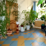 Стоматология ПРО ДЕНТА ЛЮКС