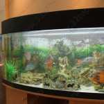 Стоматология ОРТОСТОМ м. Тушинская