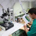 Стоматология ОРТОСТОМ м. Тушинская